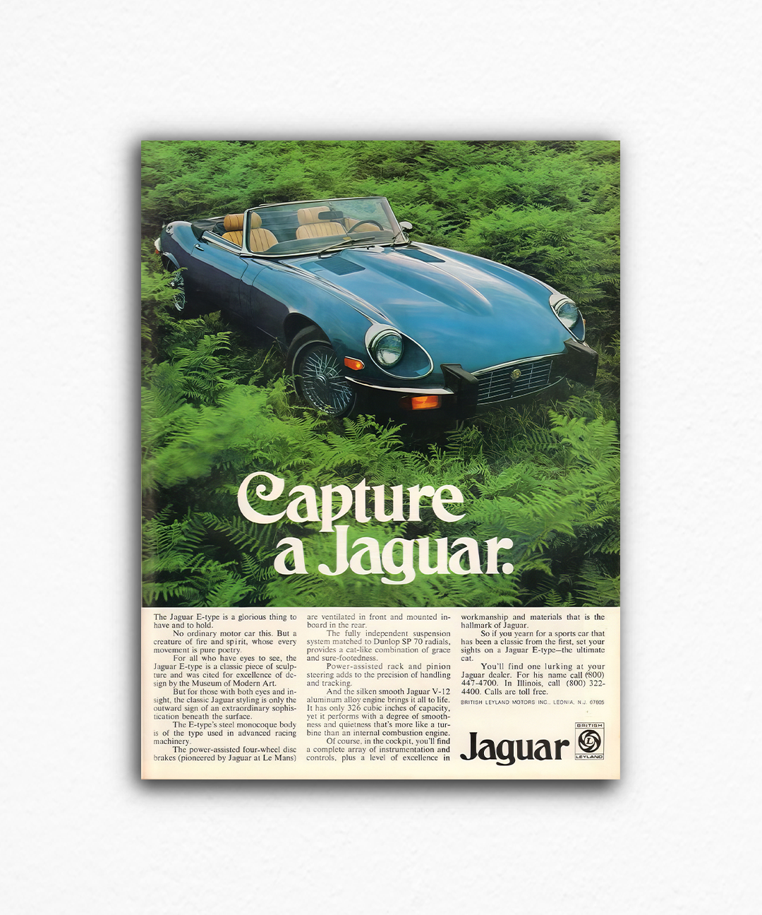 Capture a jaguar