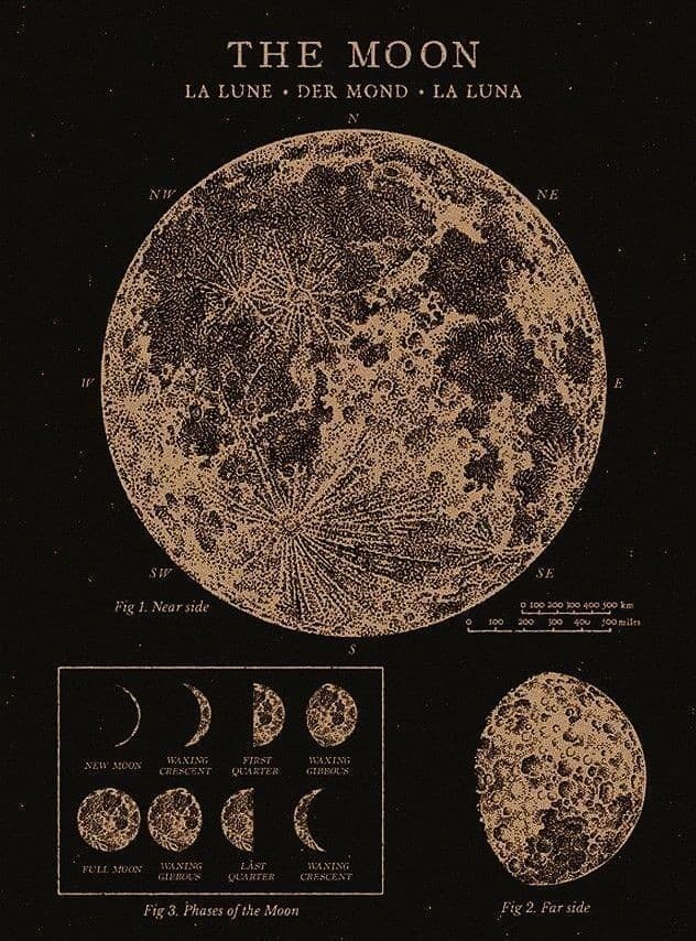 The moon