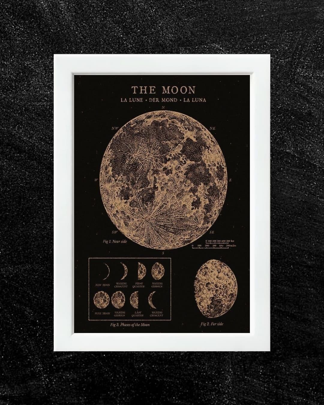 The moon